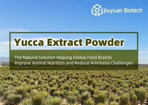 Pudră de extract de Yucca: Soluția naturală care ajută mărcile globale de furaje să îmbunătățeasc...